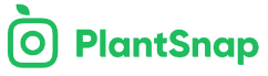 plantsnap rankmyapp