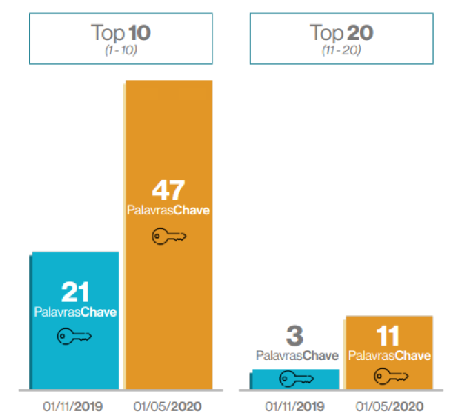 Gráfico: Palavras chave ranqueadas (Top 10 e Top 20)